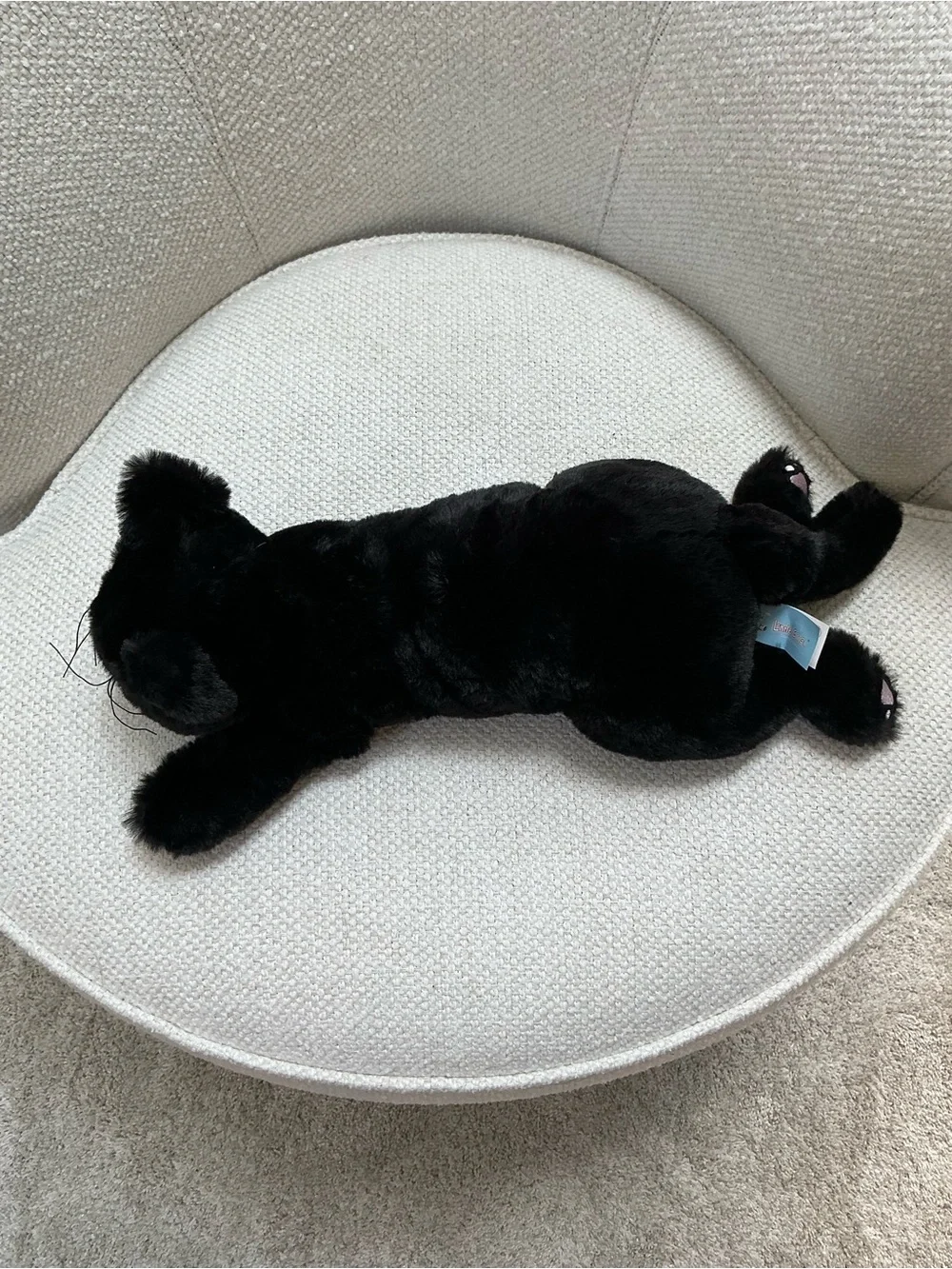 Little Cucu adorable little
